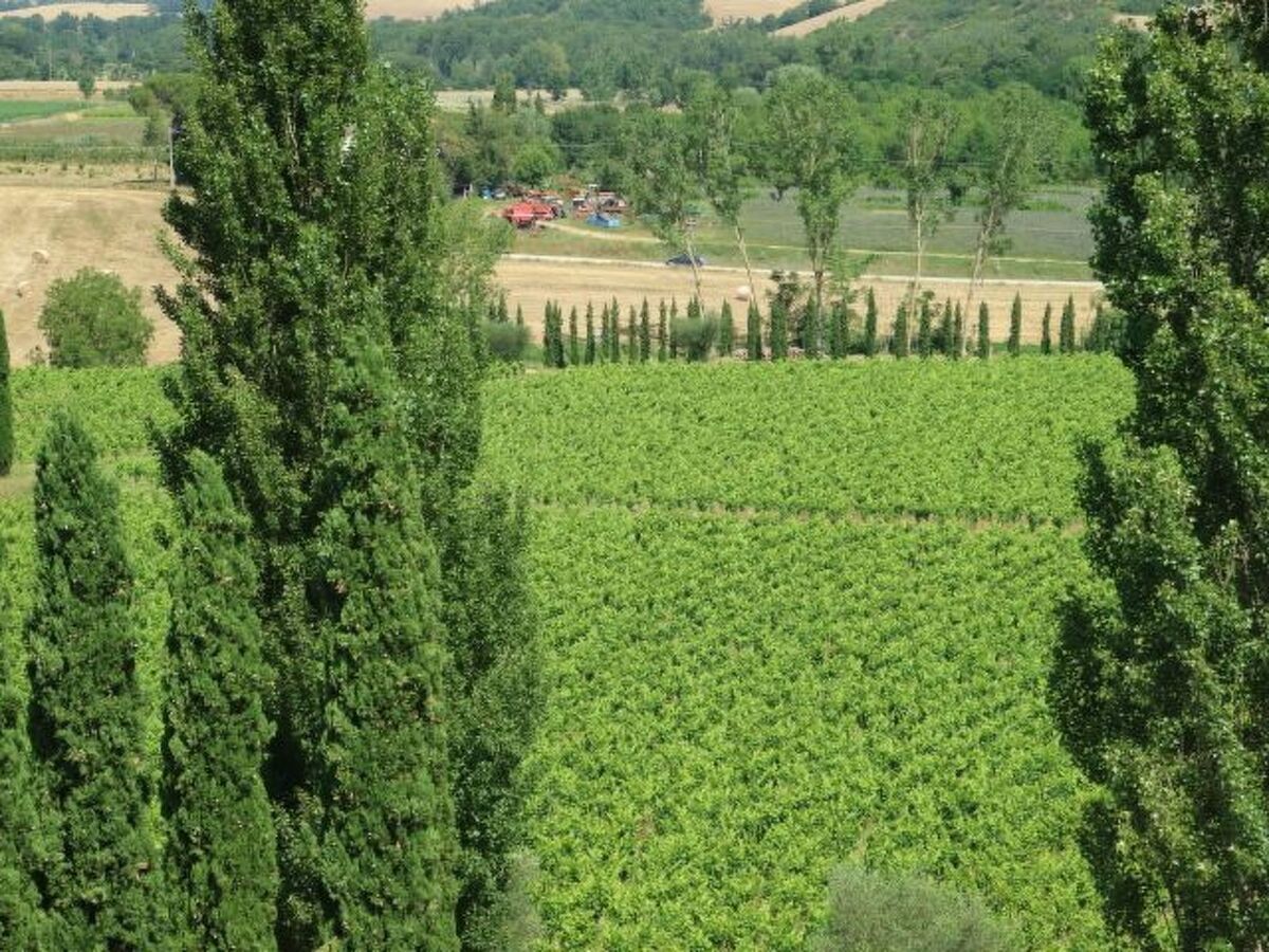 Studio avec piscine à Sarteano, Toscane - Photo 6