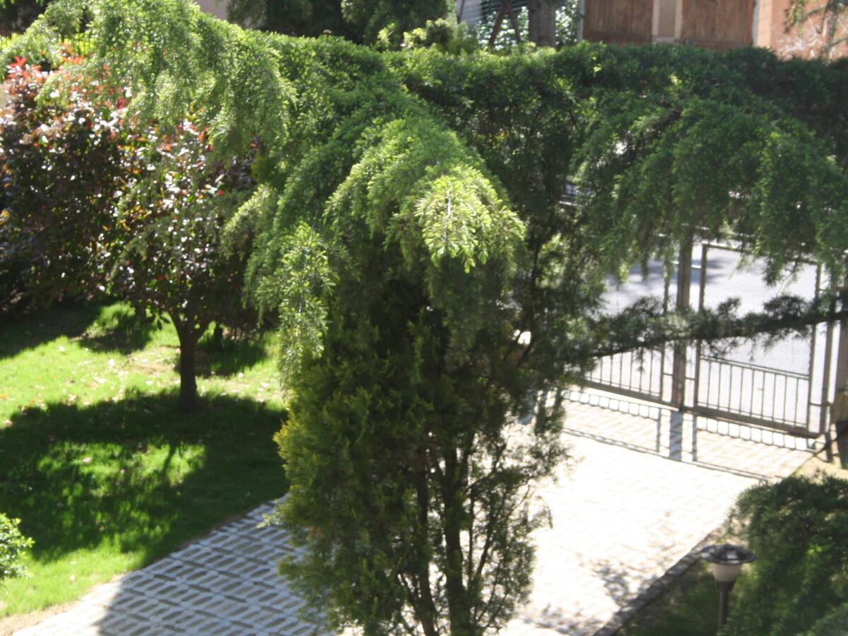 La Casa di Rachele – Appartement 6 pers. avec jardin à Sarteano - Photo 4