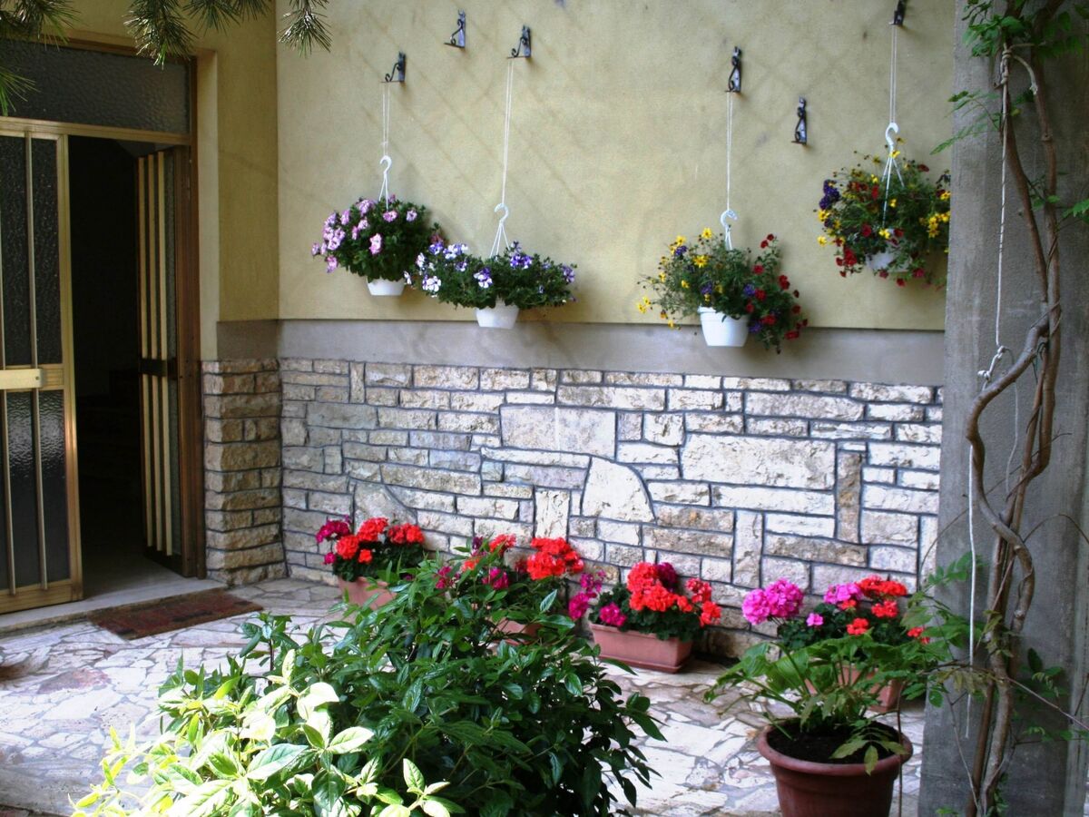 La Casa di Rachele – Appartement 6 pers. avec jardin à Sarteano - Photo 6