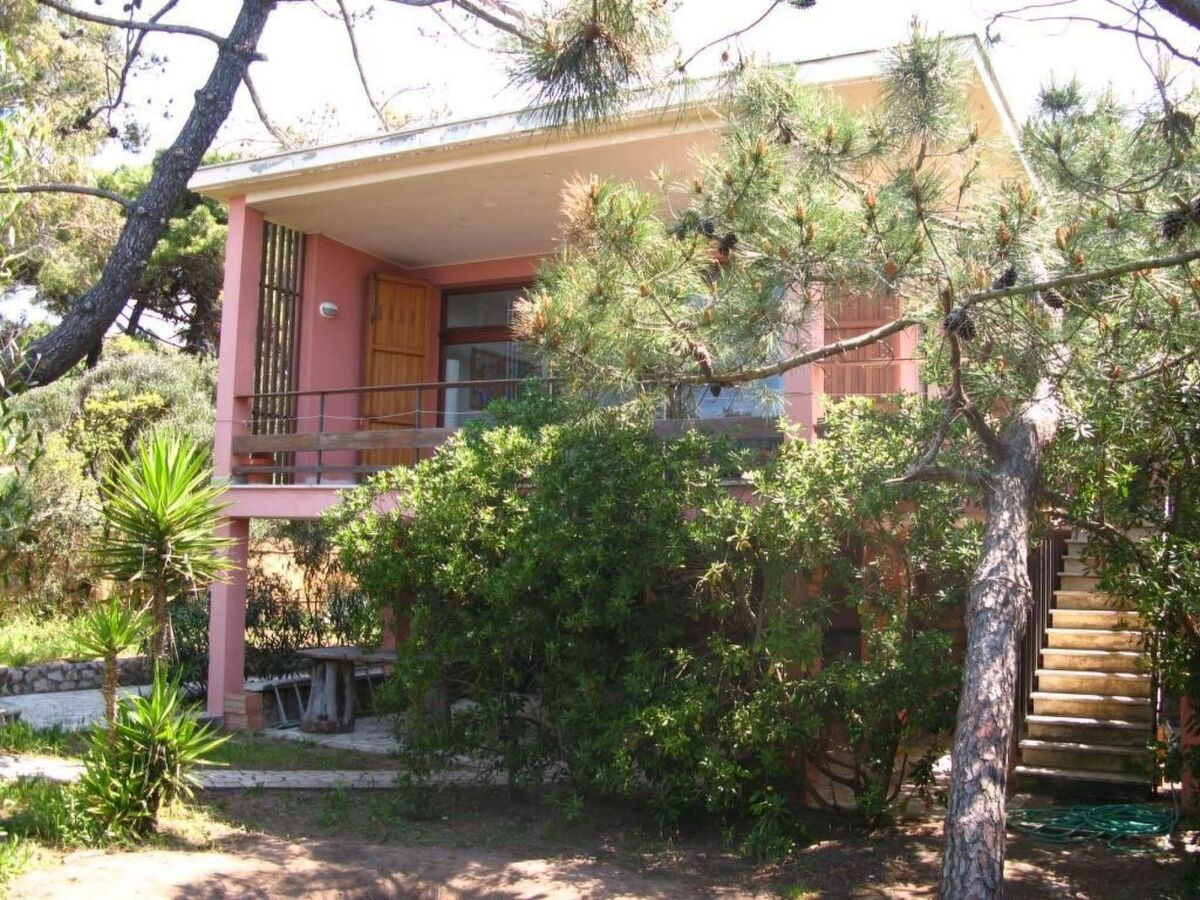 Villa Giacaranda – Maison 13 pers, plage privée à Ansedonia - Photo 3