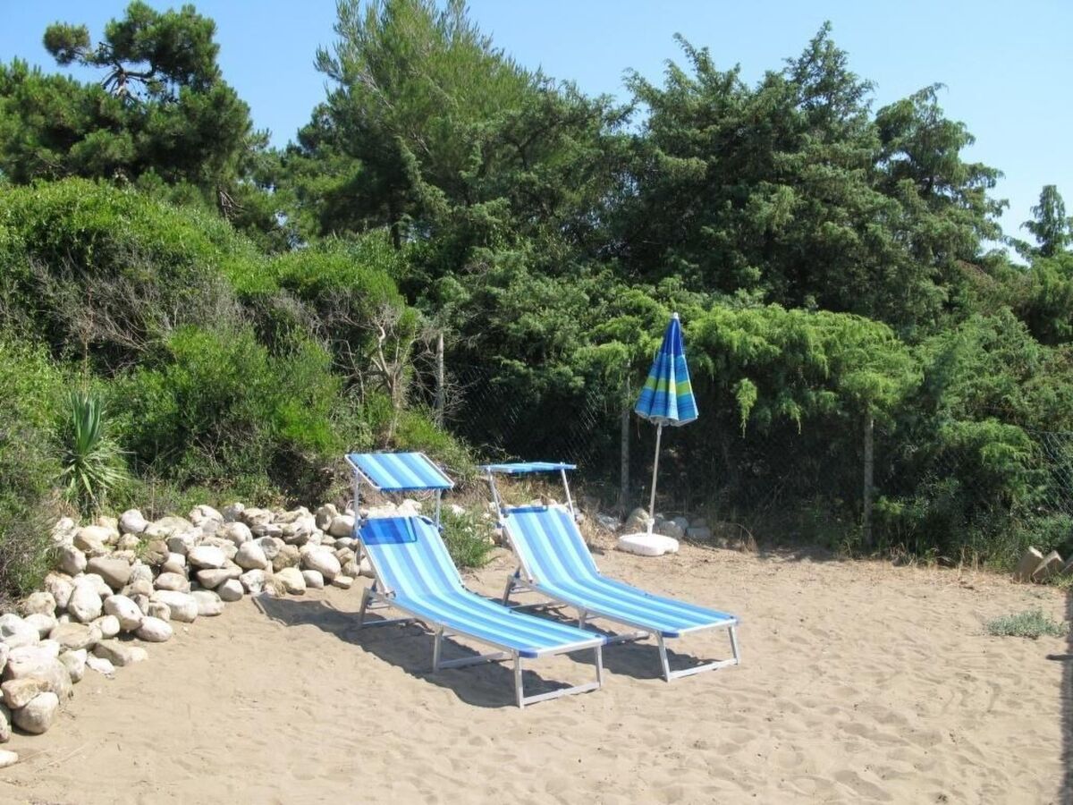Villa Giacaranda – Maison 13 pers, plage privée à Ansedonia - Photo 5