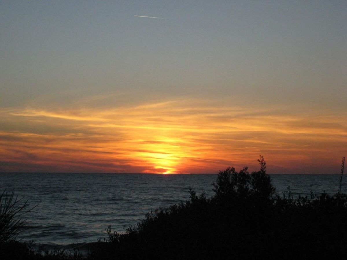 Villa Giacaranda – Maison 13 pers, plage privée à Ansedonia - Photo 15
