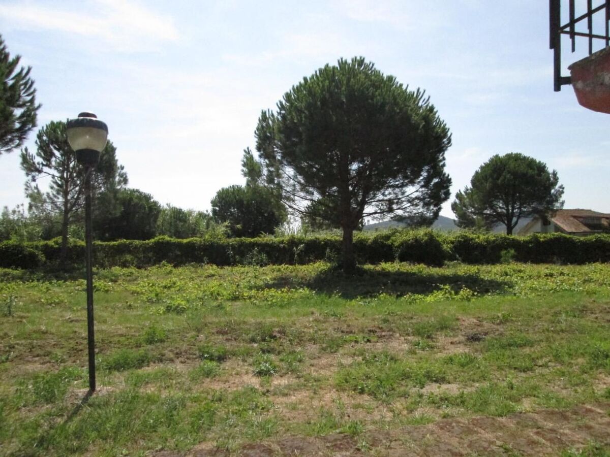 Appartement rustique à 250m de la plage à Ansedonia - Photo 2