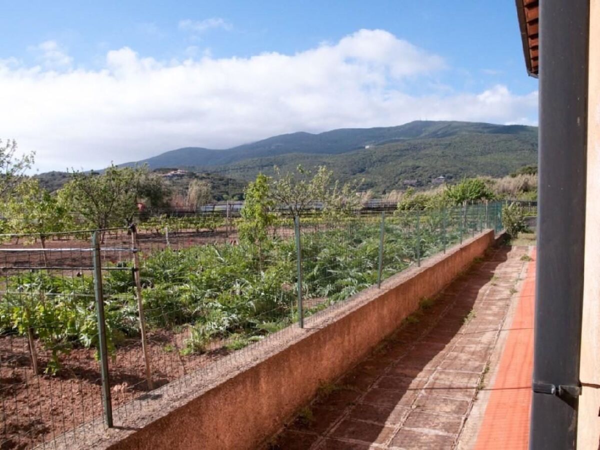 Appartement de ferme en Maremme à 250 m de la plage, Ansedonia - Photo 10