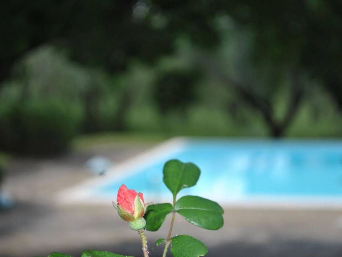 Appartement Chianti avec piscine commune et vue sur les vignes - Photo 6