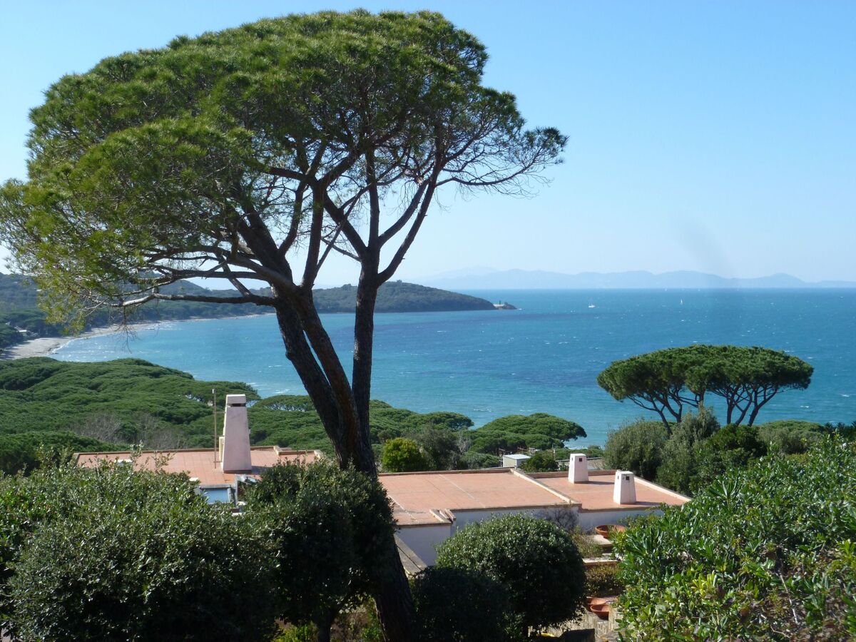 Villa rénovée Punta Ala, 4 chambres, vue mer - Photo 35