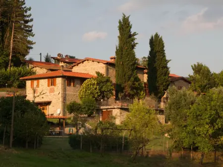 Geranei Haus mit Schwimmbad zwischen Florenz und - Photo 43