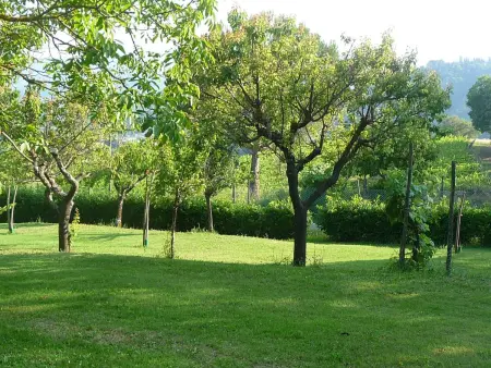 Lindenhaussiedlung mit Gemeinschaftspool, Maison 2 personnes à Pratovecchio - Photo 31