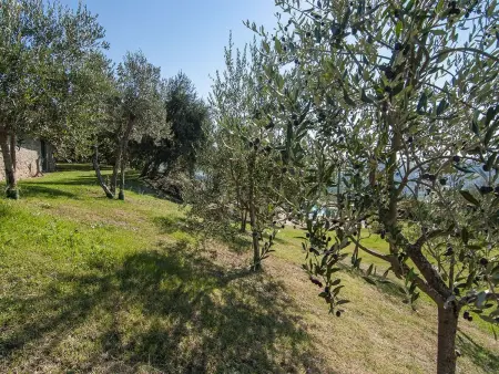 Fichtenhaus mit Schwimmbad zwischen Florenz und, Maison 4 personnes à Pratovecchio - Photo 36