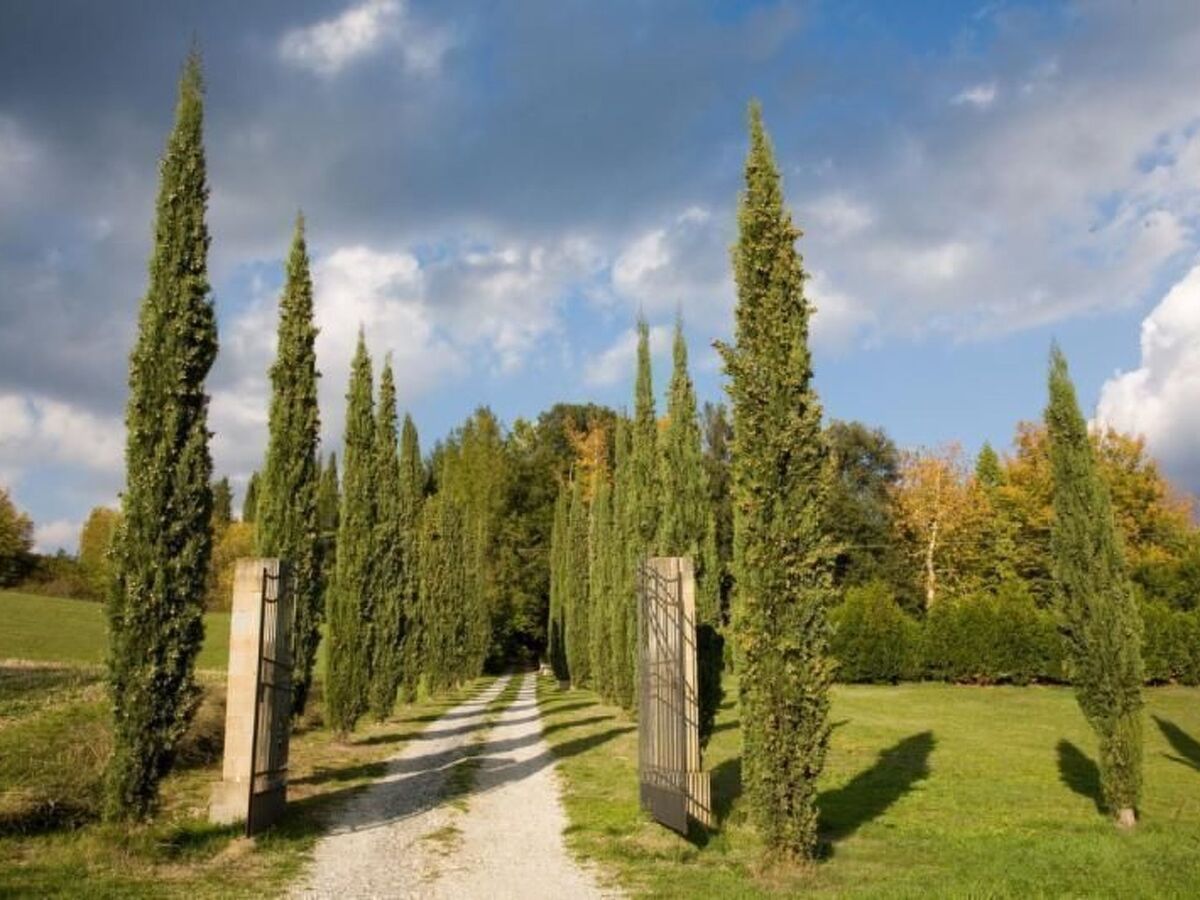 Villa Benfenati, maison 7 chambres avec piscine à Pratovecchio - Photo 48