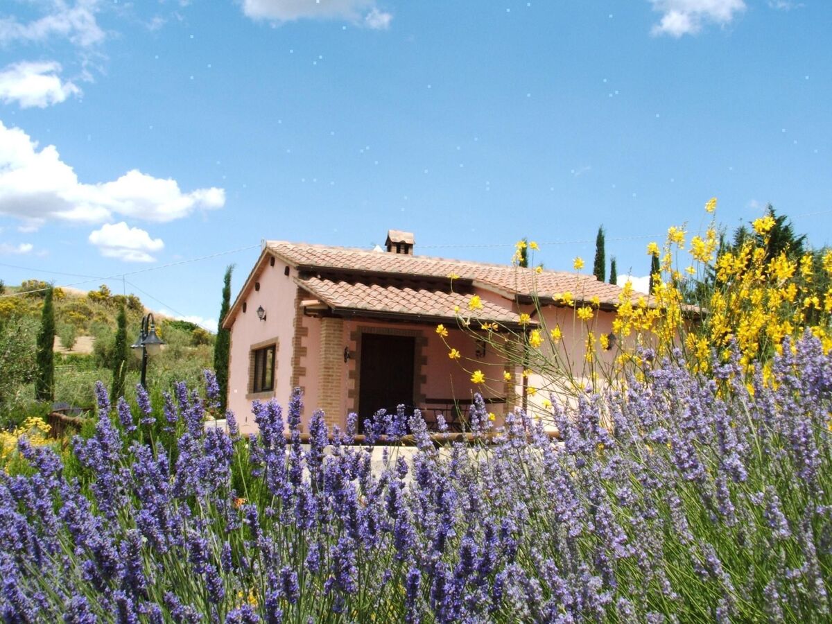 Spazzacamino – Cottage Toscan 6 pers. avec piscine - Photo 6