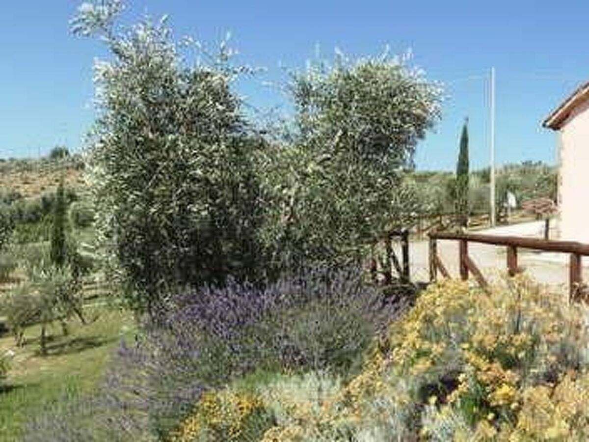 Spazzacamino – Cottage Toscan 6 pers. avec piscine - Photo 12