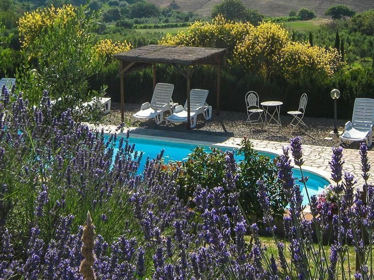 Spazzacamino – Cottage Toscan 6 pers. avec piscine - Photo 14
