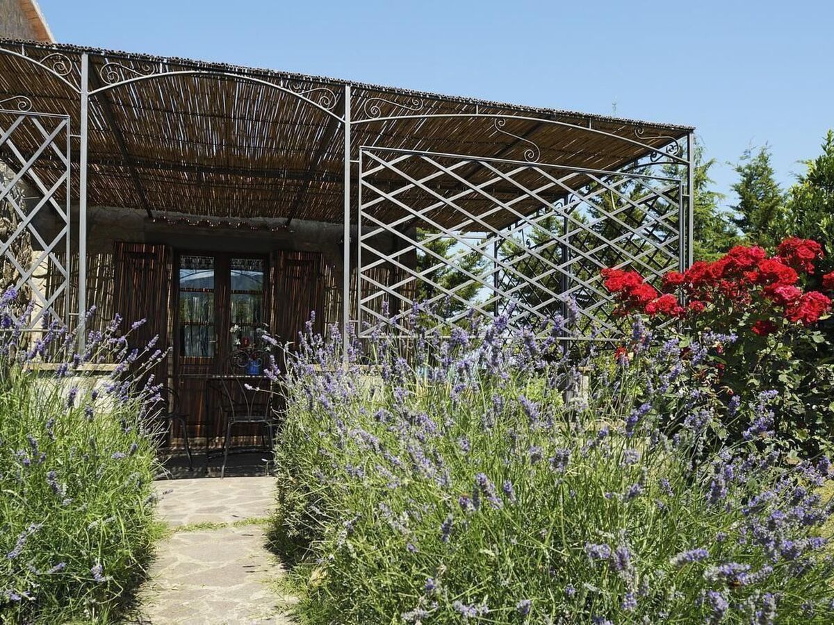 Maison Capannacce - Pierre et jardin clos à Cinigiano - Photo 5