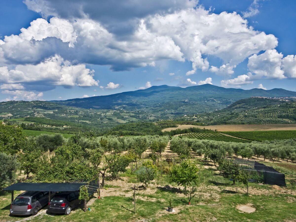 Villa RosaSpina – Maison avec piscine près de Montalcino - Photo 3