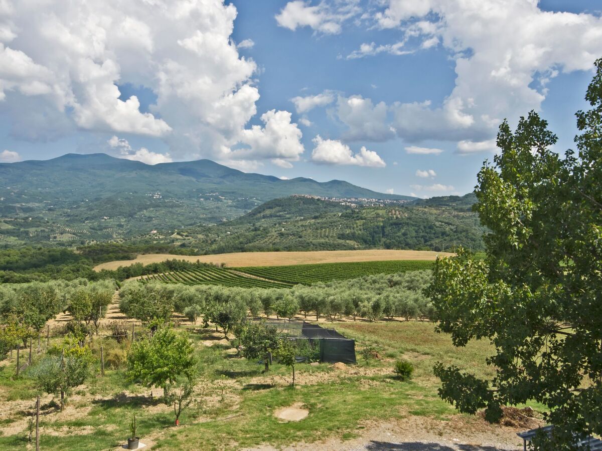 Villa RosaSpina – Maison avec piscine près de Montalcino - Photo 16