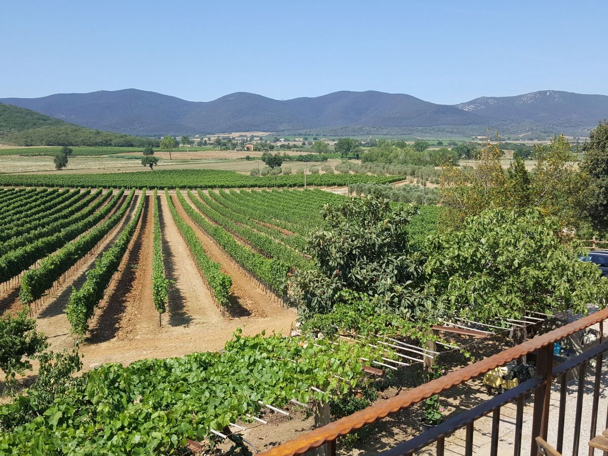 Maison rurale Maremma – 3 chambres, parc naturel - Photo 16
