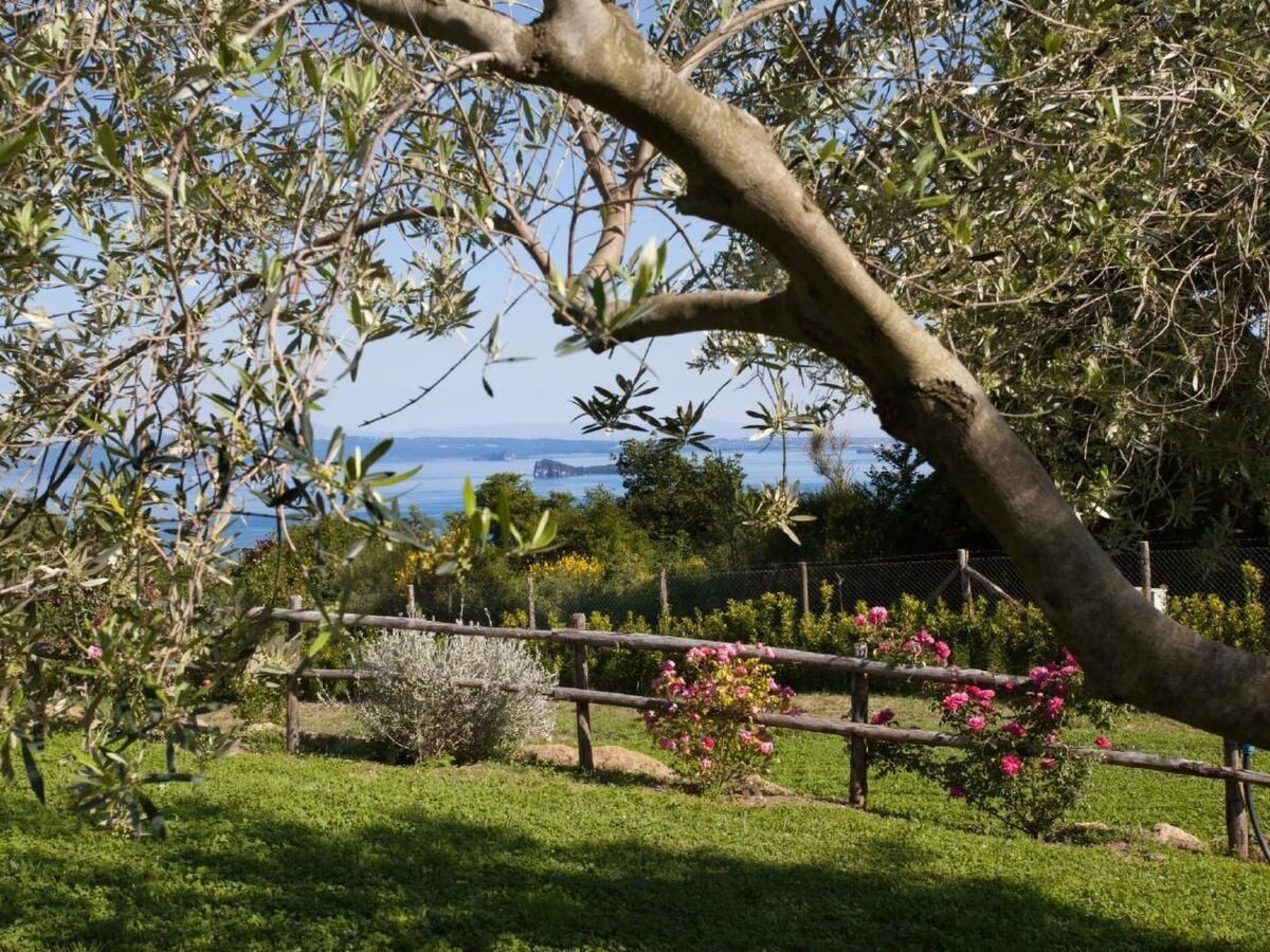 Villa 4 chambres avec piscine et vue sur le lac de Bolsena - Photo 22