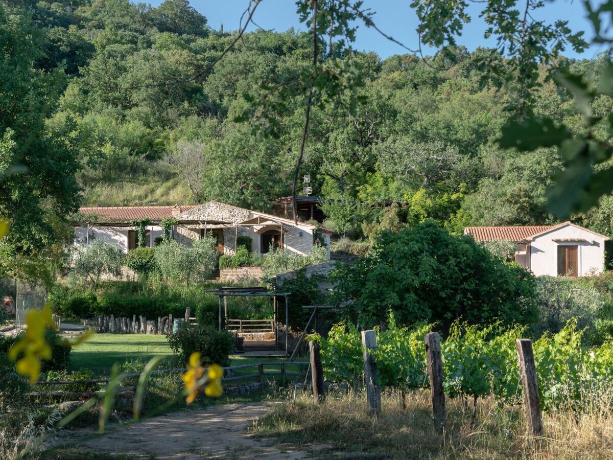 Il Borghetto, maison 7 chambres Manciano - Photo 28