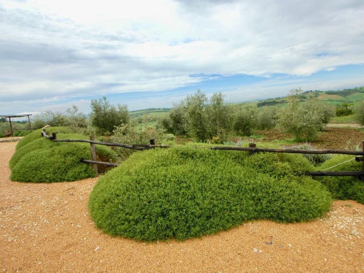 Maison toscane avec piscine sur 6,5 hectares à Manciano - Photo 17