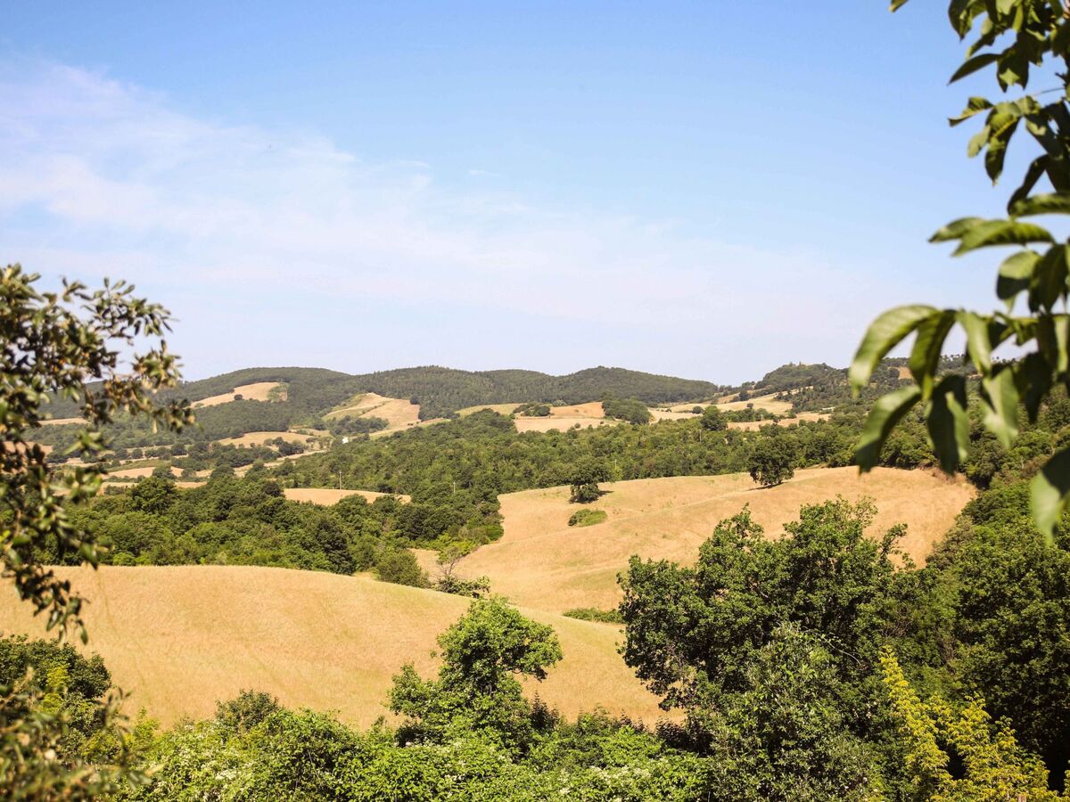 Wasserveilchen – Chambre agritourismo en Maremma - Photo 4