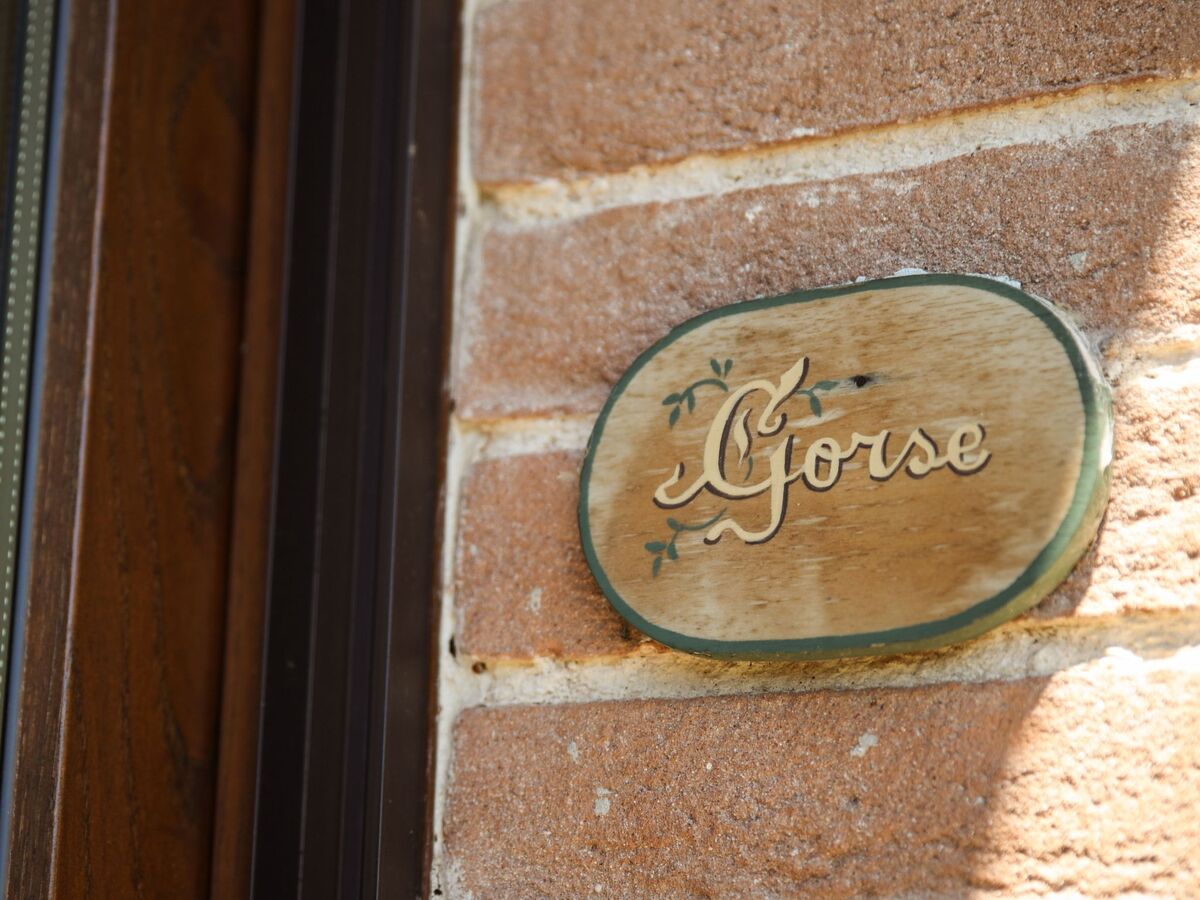 Gorse Room – Chambre d'agritourisme en Toscane - Photo 6