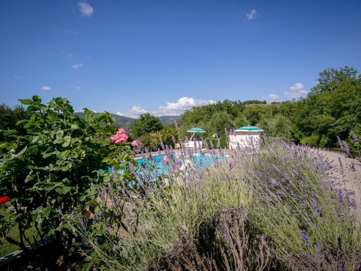 Villa indépendante avec piscine à Cortona - Photo 39