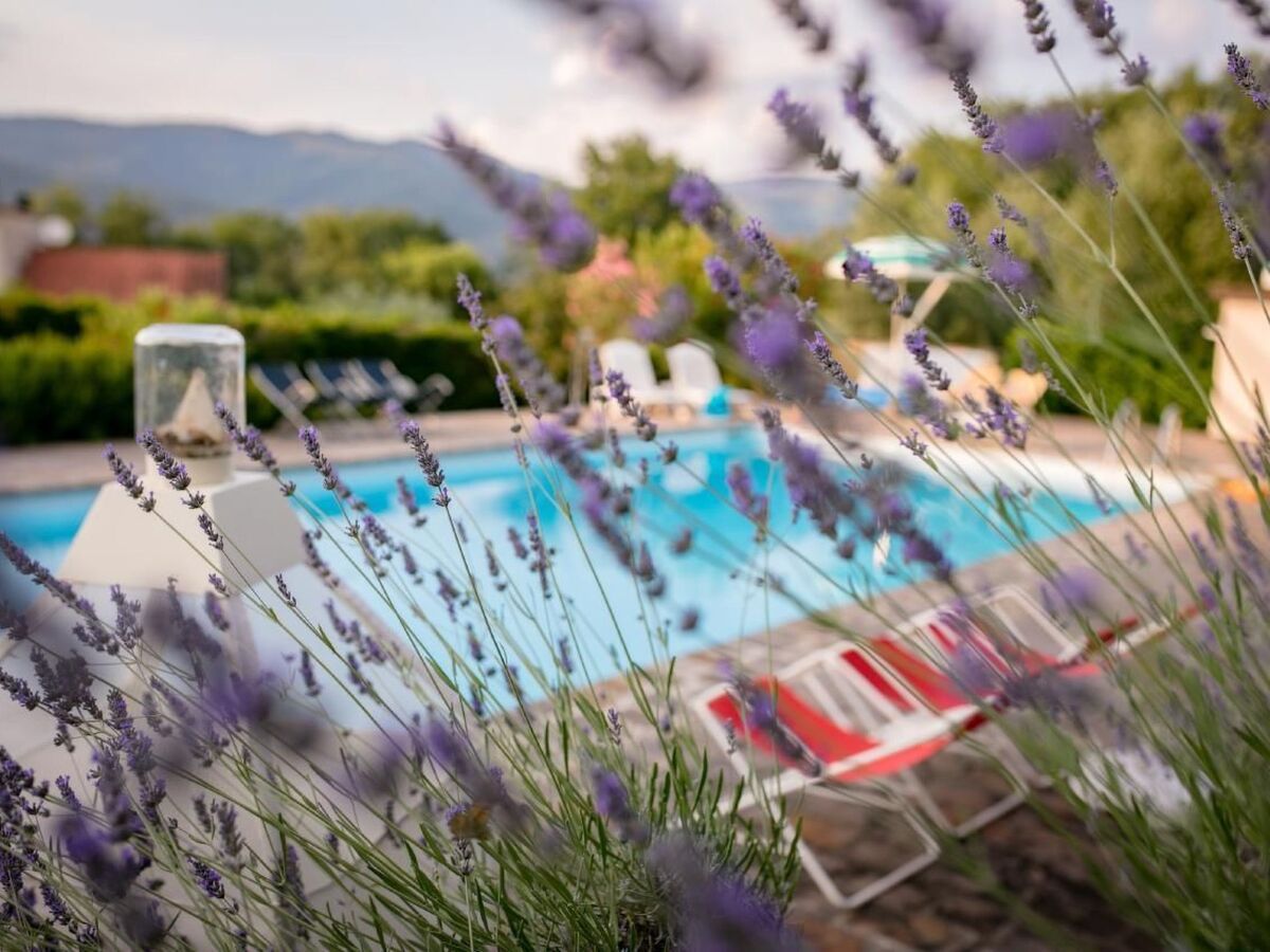 Villa indépendante avec piscine à Cortona - Photo 42