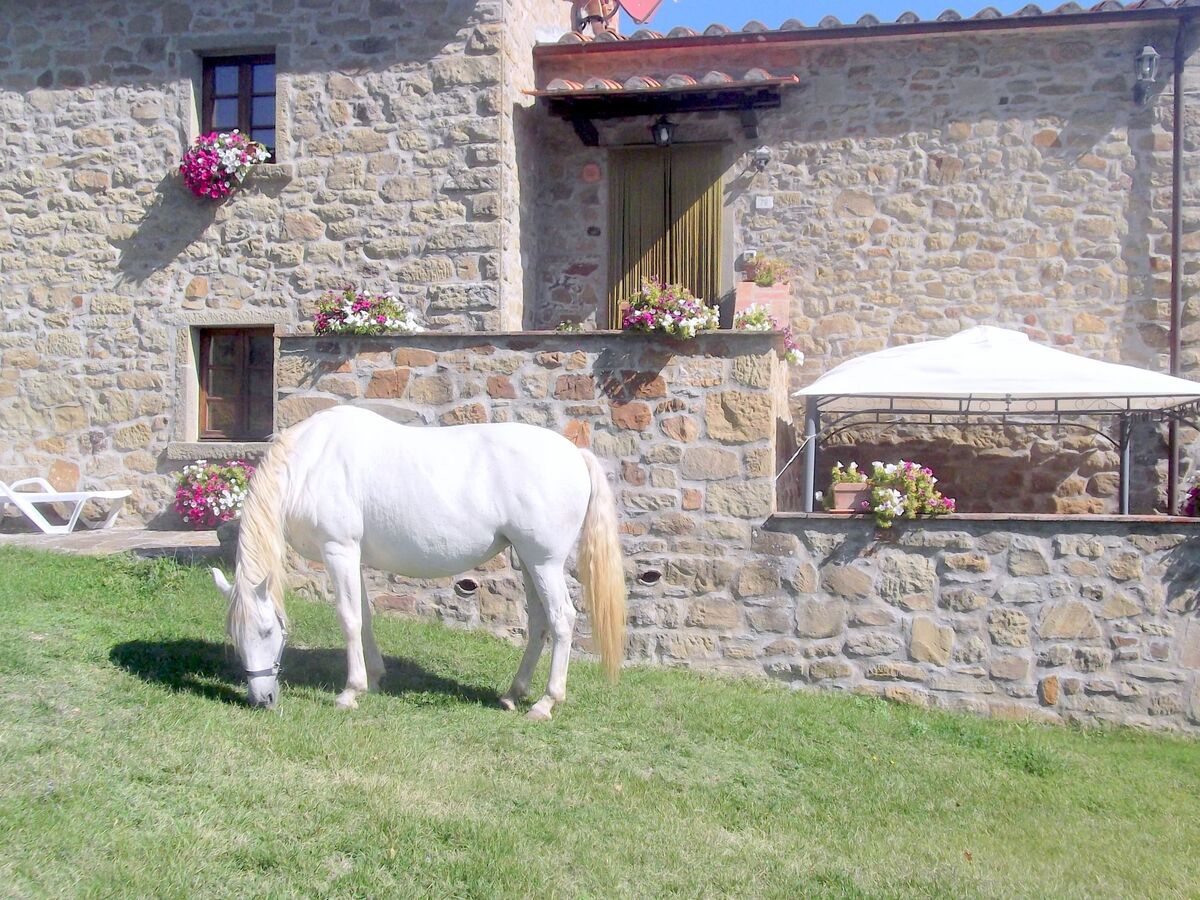 Appartement La Mimosa à Cortona, 2 ch. + piscine - Photo 5