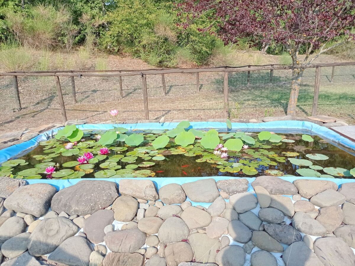 Appartement La Mimosa à Cortona, 2 ch. + piscine - Photo 6
