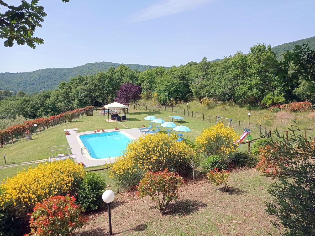 Appartement La Mimosa à Cortona, 2 ch. + piscine - Photo 7