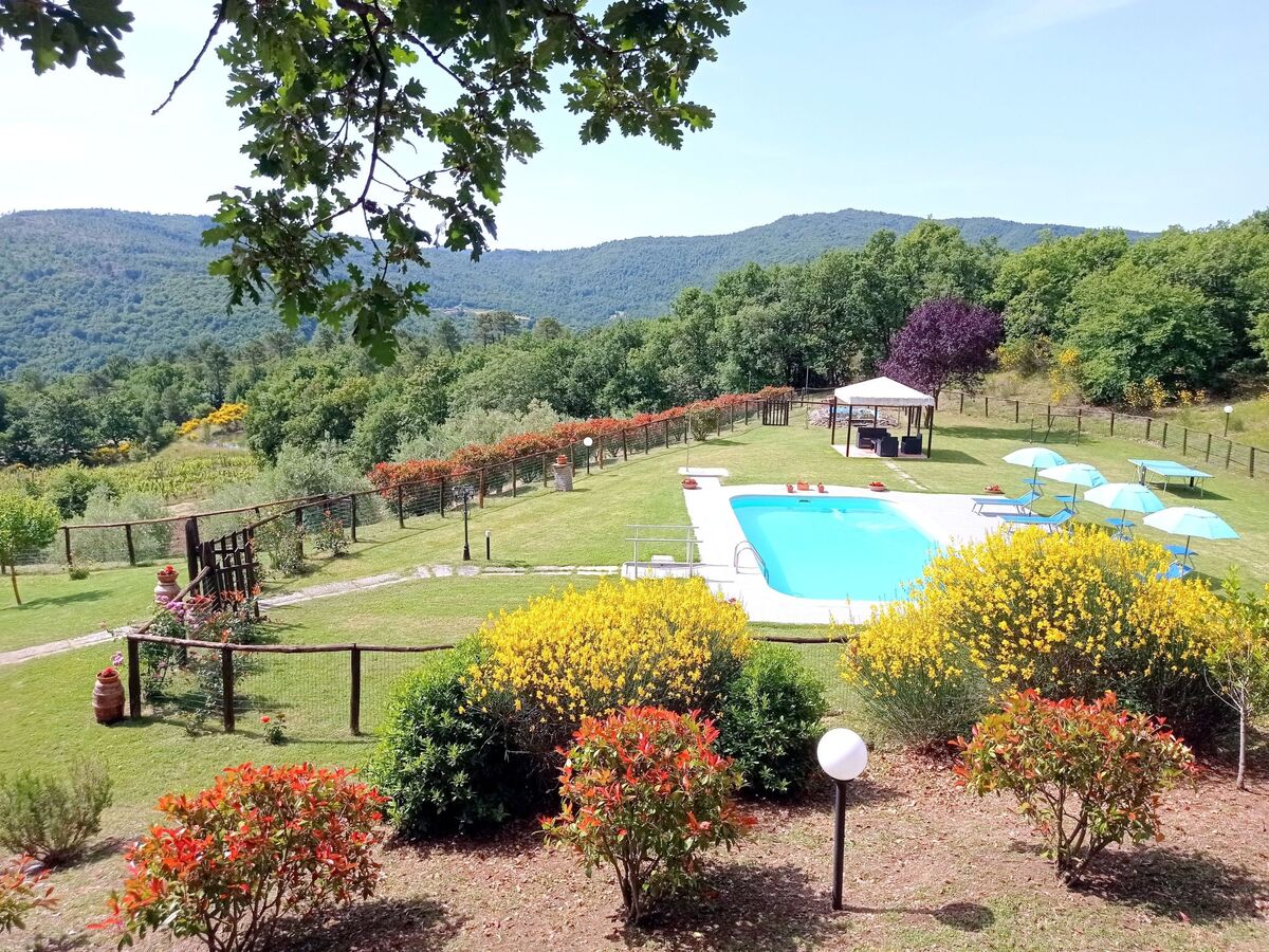 Appartement La Mimosa à Cortona, 2 ch. + piscine - Photo 17