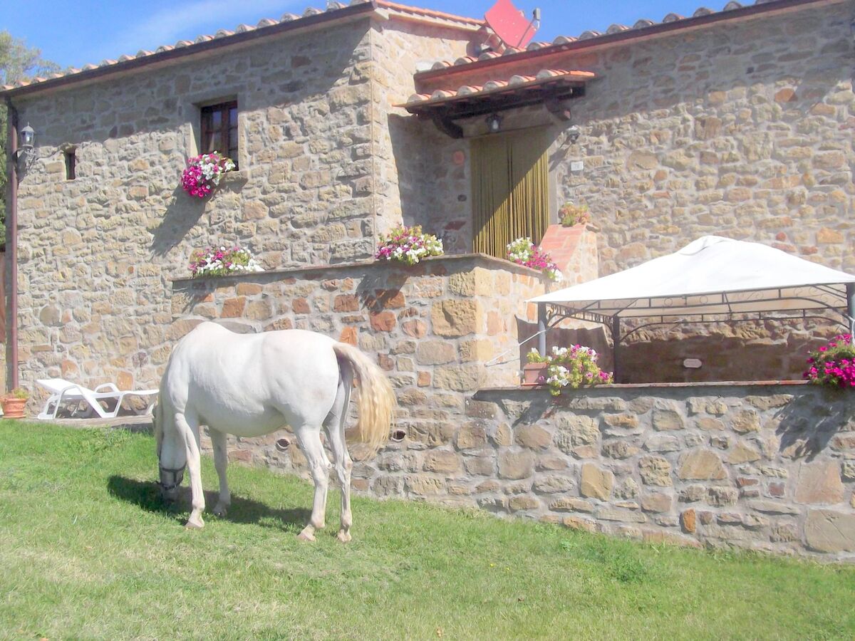 La Rosa - Appartement 4 pers. en Toscane avec piscine - Photo 15