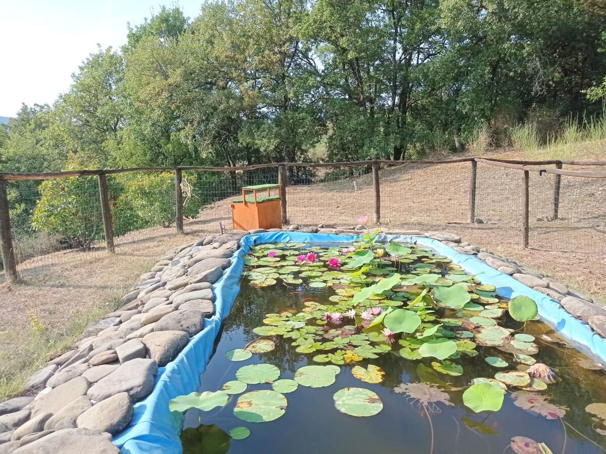 La Rosa - Appartement 4 pers. en Toscane avec piscine - Photo 19