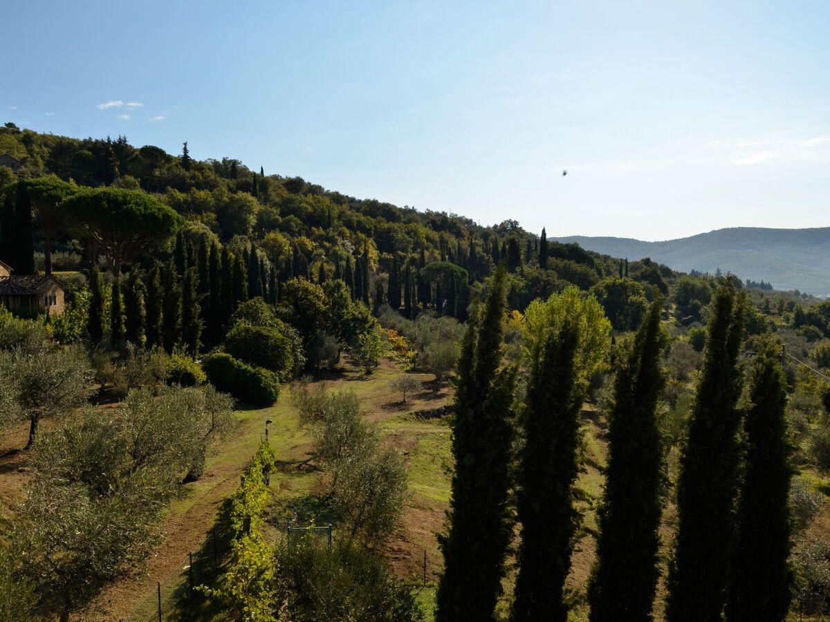 Villa Eugenio, maison toscane 17e siècle avec piscine - Photo 30