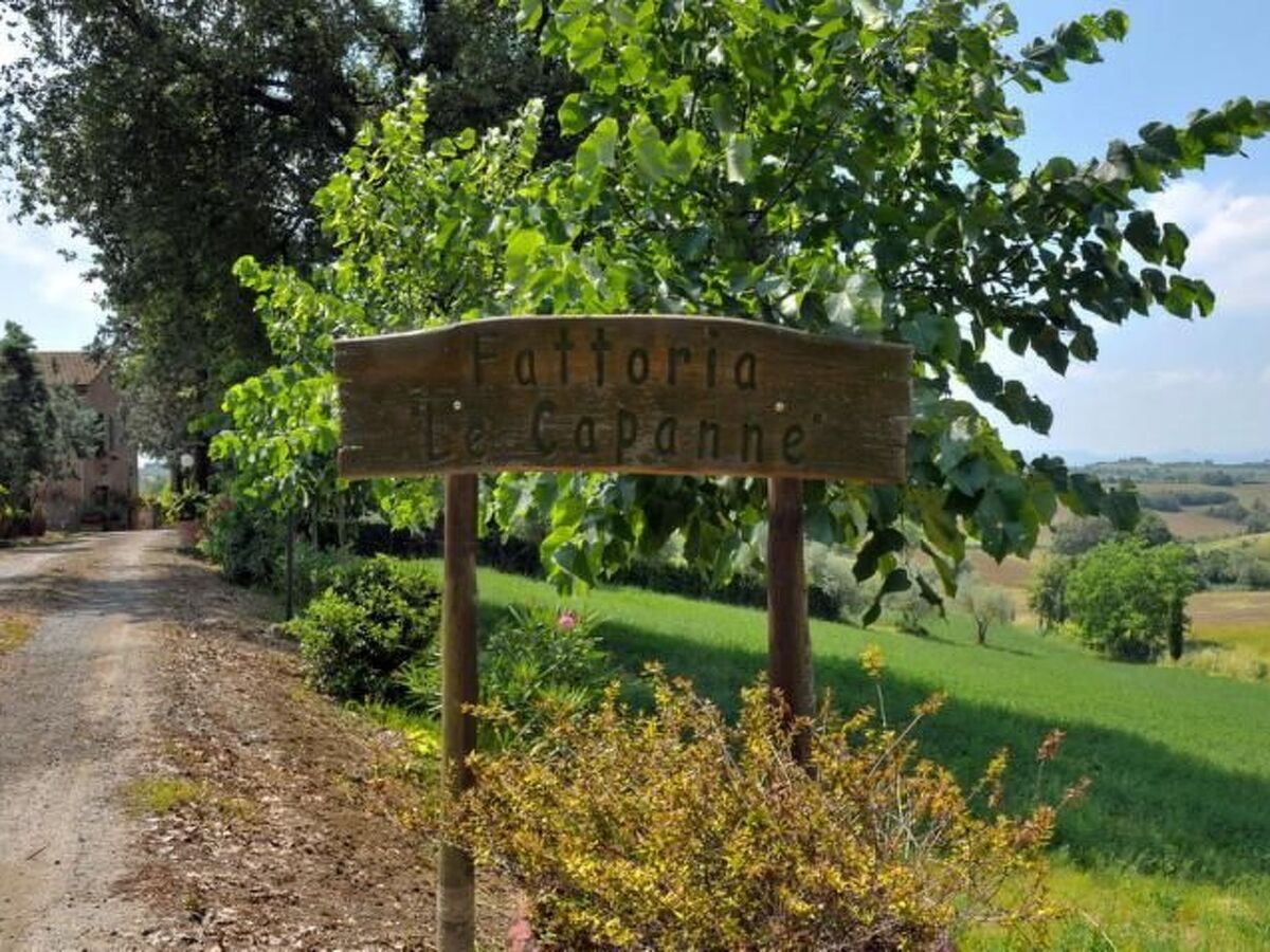 La Capanne, ferme toscane authentique 10 pers. - Photo 3