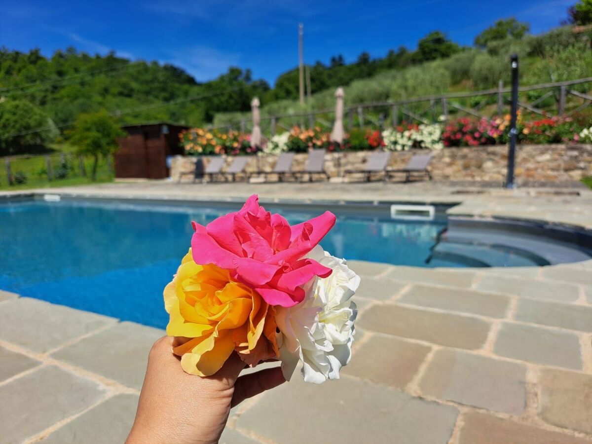 Agriturismo Poggio del Fabbro – Maison 7 pers. piscine - Photo 19
