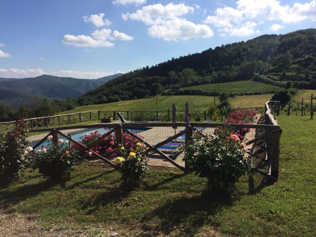 Poggio del Fabbro, maison de ferme à Cortona - Photo 4