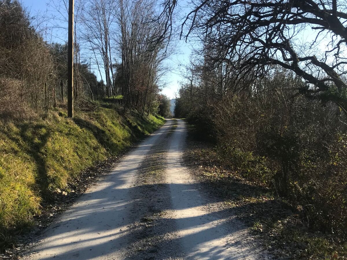 Poggio Cantarello – Appartement avec piscine à Chiusi - Photo 22