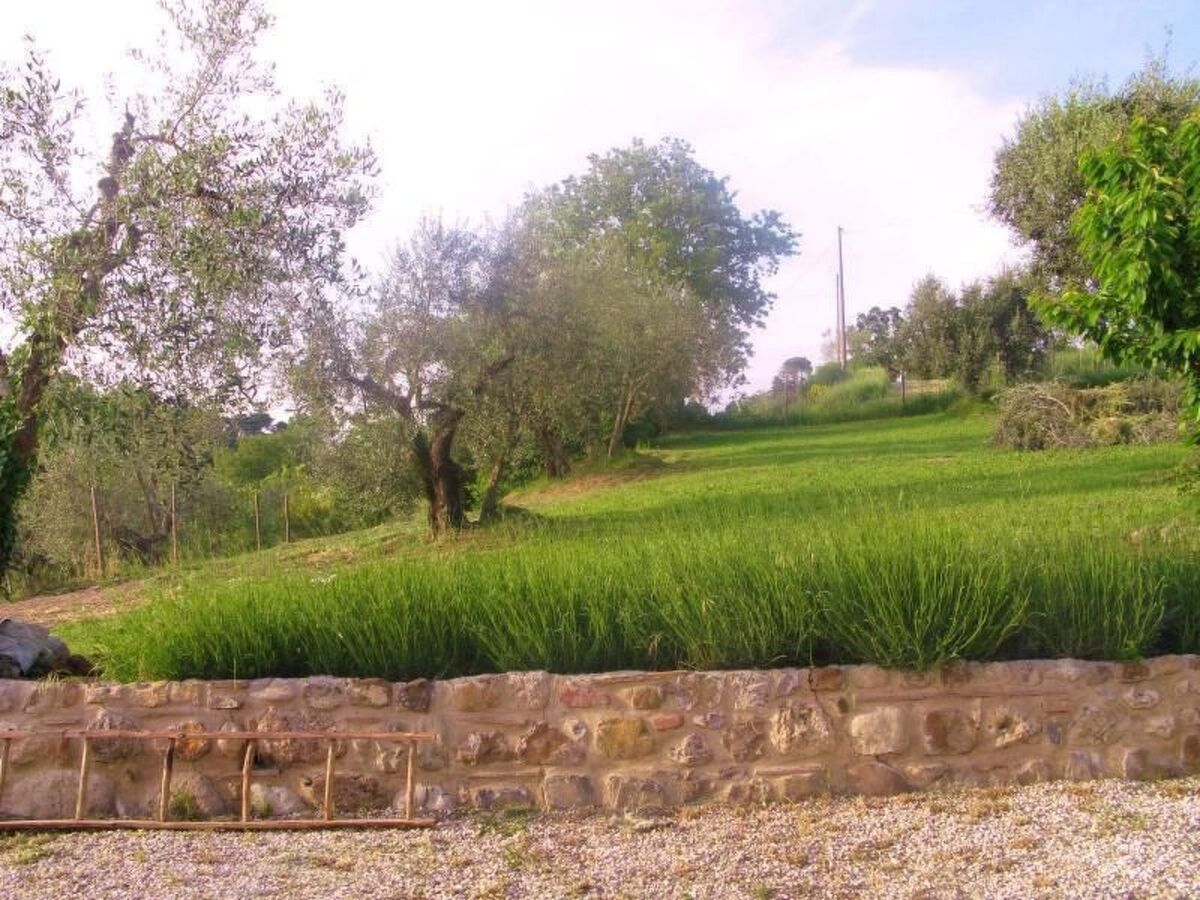 Poggio Cantarello – Appartement rural Toscane, 4 pers. - Photo 14