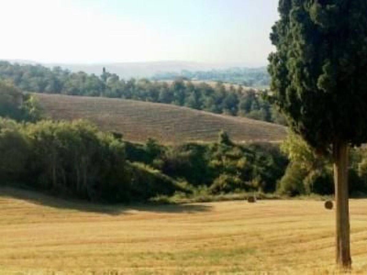 Poggio Cantarello – Appartement rural Toscane, 4 pers. - Photo 17