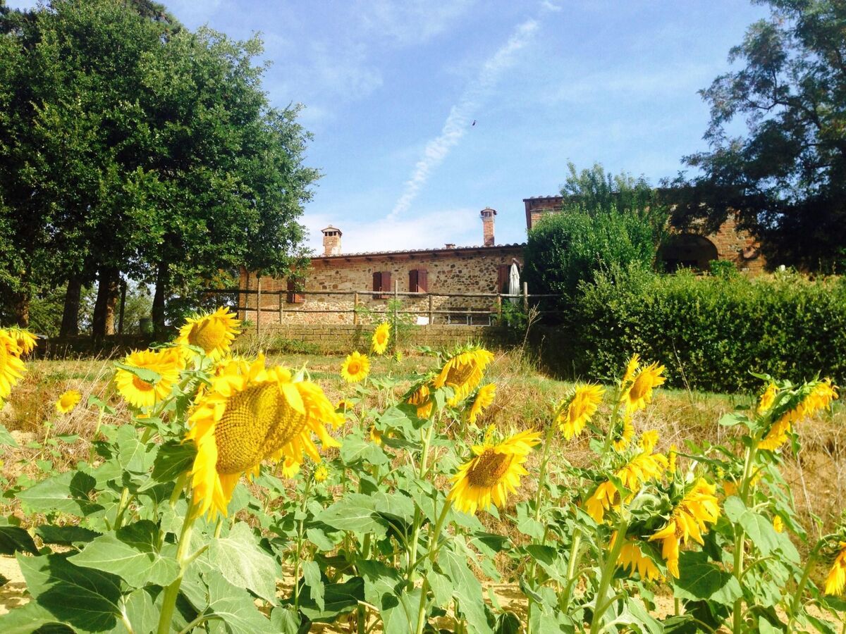 Poggio Cantarello – Appartement rural Toscane, 4 pers. - Photo 19