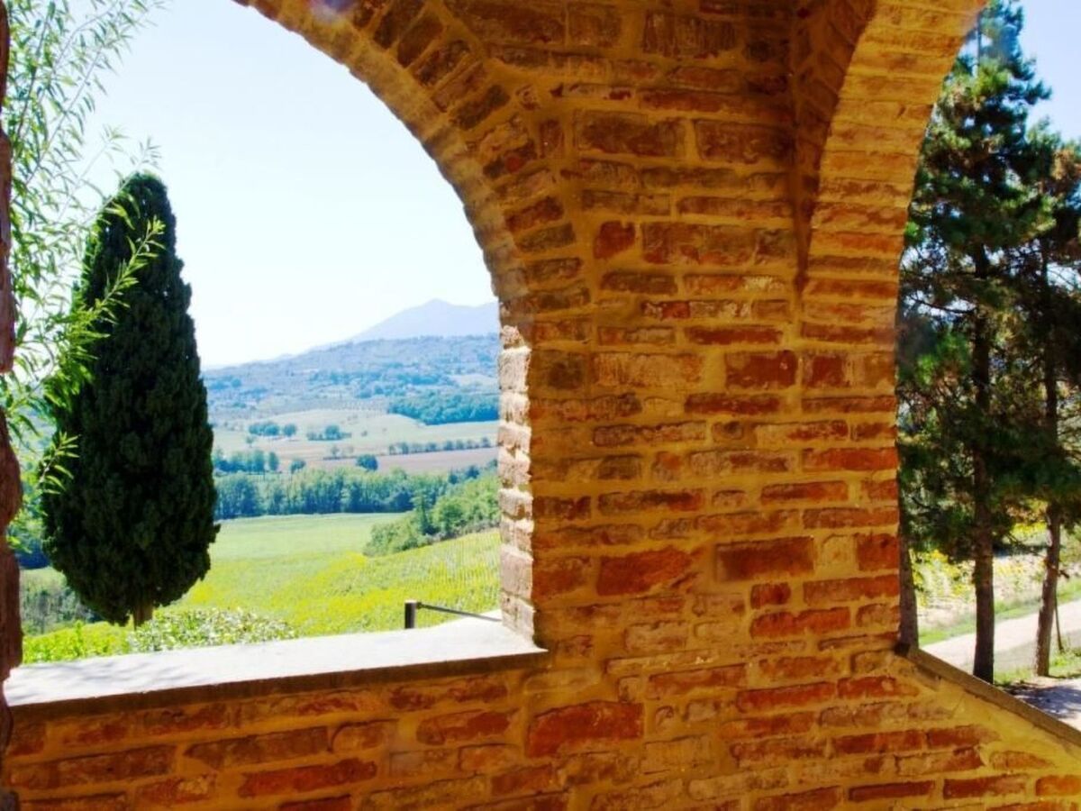 Poggio Cantarello – Appartement rural Toscane, 4 pers. - Photo 24