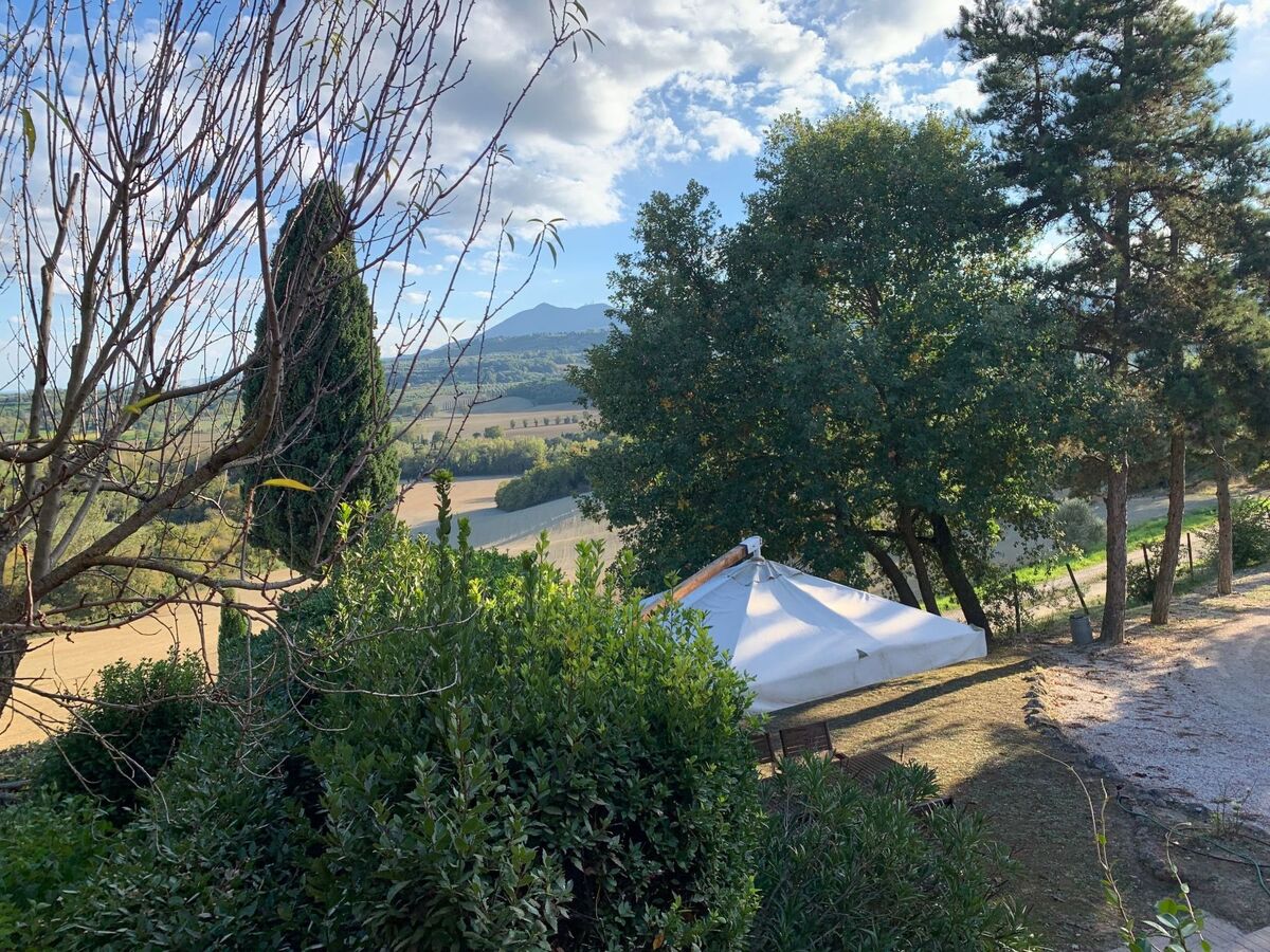 Poggio Cantarello – Appartement rural Toscane, 4 pers. - Photo 43
