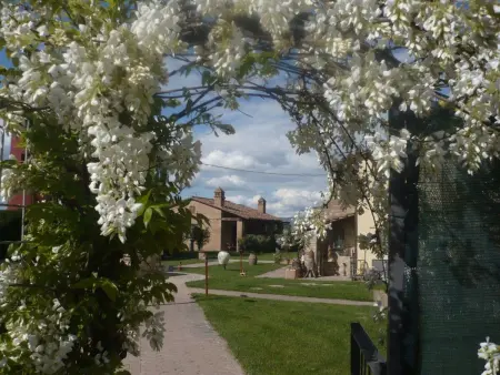 Appartement 6 pers. au bord du lac Trasimeno : photo 27