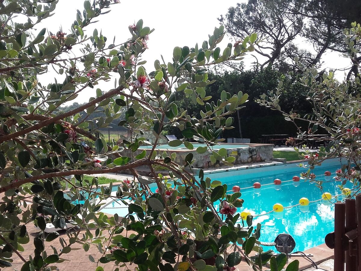 Junior Suite au Lac Trasimeno, piscine incluse - Photo 28