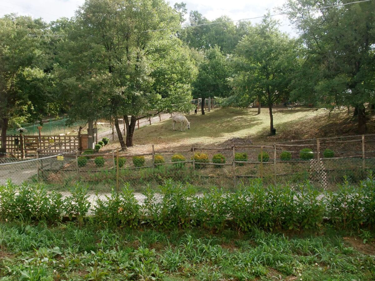 Maison indépendante 1000 m² jardin clos à Umbertide - Photo 9