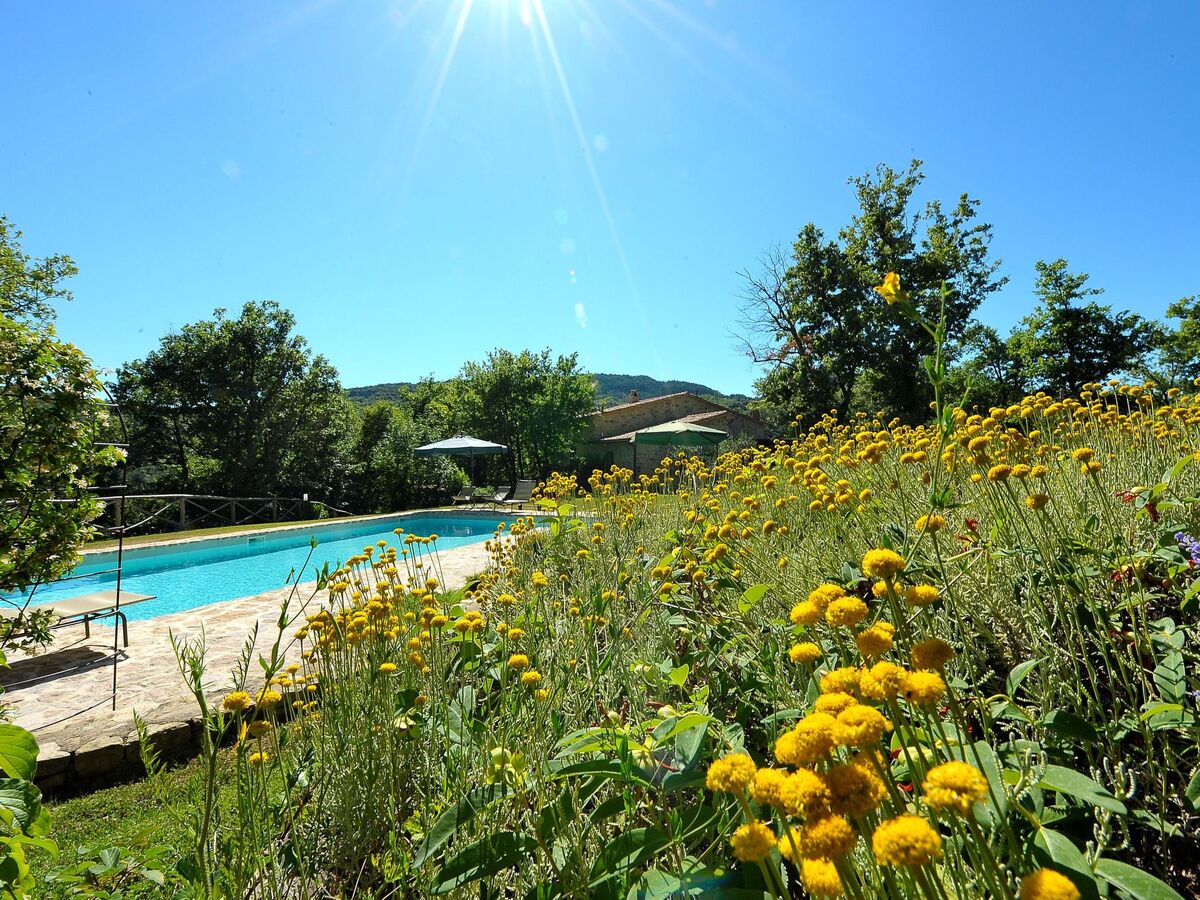 Villa Costa Piccola - Maison 8 pers, piscine à Umbertide - Photo 2