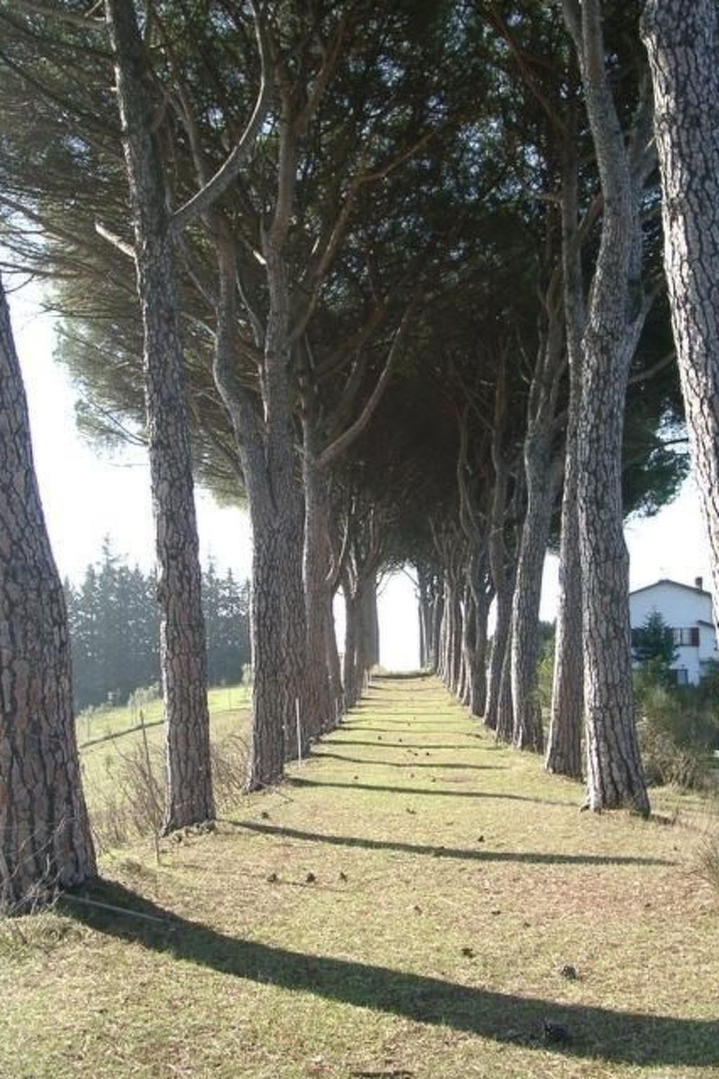 Appartement Baita à Perugia avec piscine et jardin - Photo 13