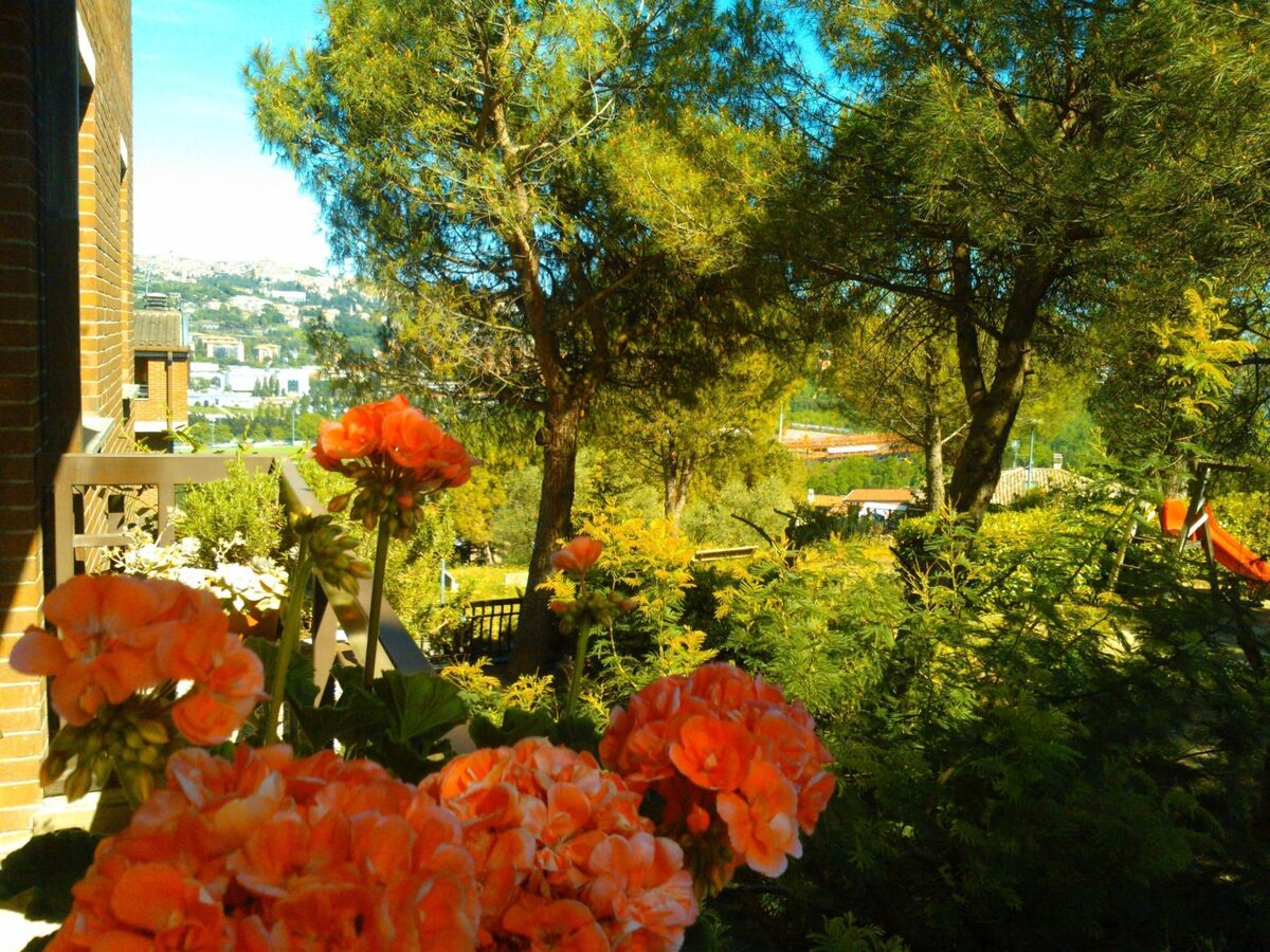 Appartement 2 pers. en verdure à Perugia, ascenseur - Photo 18
